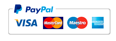 PayPal Visa MasterCard Maestro American Express